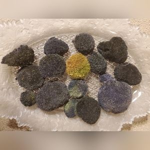 Moss. Natural Moss decor Boho wedding Fairy garden